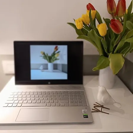 Appartement - Swiss Border Modern - Ac & Wifi Côme